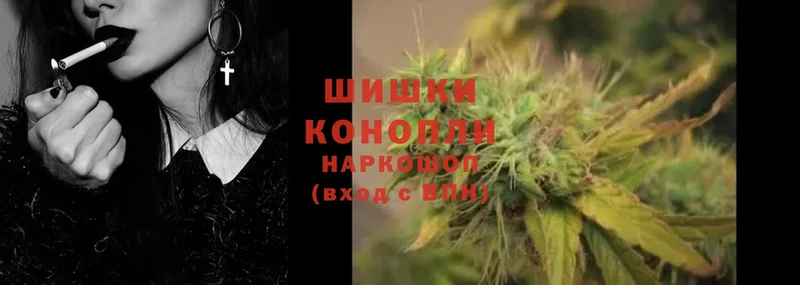 Бошки марихуана Bruce Banner  где можно купить   Гурьевск 